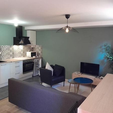 Appartement Proche Gare Сен-Бріє Екстер'єр фото